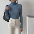 Plain Turtleneck Knit Blouse