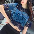 Short-sleeve Lace Top Blue - One Size