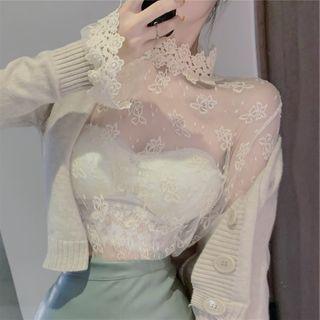 Mock-turtleneck Lace Trim Long-sleeve Mesh Top