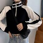 Color Block Raglan Sleeve Half-zip Sweatshirt