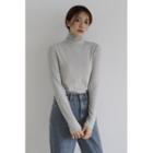 Turtle-neck Fitted M Lange Top Light Gray - One Size