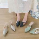 Pointed Transparent Panel Kitten Heel Mules