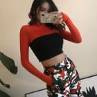 Color Block Cropped Long-sleeve T-shirt