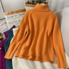 Loose-fit Turtleneck Sweater In 7 Colors