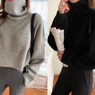 Turtleneck Cropped Rib-knit Sweater