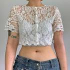 Lace Short Sleeve Crop Top