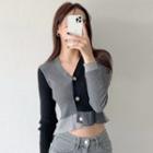 Color Block Cropped Cardigan Black - One Size