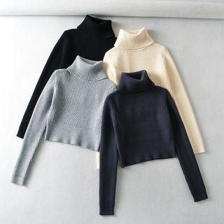 Mock-neck Ribbed Plain Knit Cropped Sweater