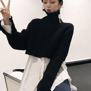 Plain Turtle-neck Long-sleeve Sweater / Plain Long-sleeve Blouse
