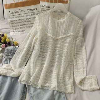 Embroidered Loose-fit Sheer Lace Top