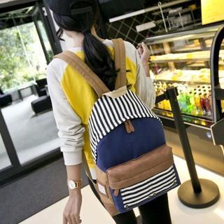 Striped Panel Backpack