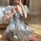 Puff-sleeve Butterfly Mesh A-line Dress