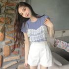 Mock Two-piece Short-sleeve Lace Panel Top