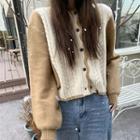 Color Panel Cable Knit Long-sleeve Cardigan