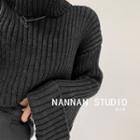 Turtleneck Loose-fit Cropped Sweater