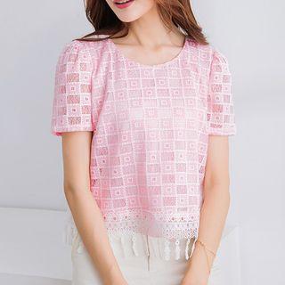 Fringed Lace Short-sleeve Top
