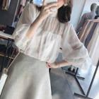 Stand Collar Sheer Blouse
