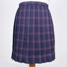 Plaid Pleated Mini A-line Skirt / Bow Tie / Tie