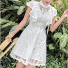 Sleeveless Lace Dress / Midi Dress