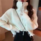 Turtleneck Distressed Ribbed Sweater