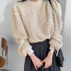 Fleece Sweatshirt / Midi A-line Pleated Skirt