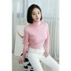 Petite Size Ribbed Turtle-neck Top