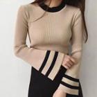 Contrast Trim Bell Sleeve Knit Top