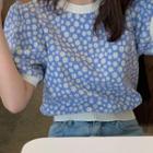 Short-sleeve Daisy Jacquard Knit Top Blue - One Size