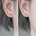 Non-matching Watermelon Earring 1 Pair - Non-matching Watermelon Earring - One Size