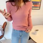 V-neck Slim-fit Rib Knit Top