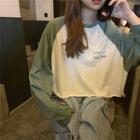 Long-sleeve Cropped Letter Raglan T-shirt