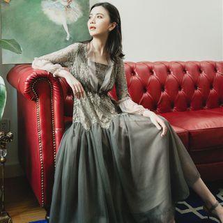 Long-sleeve Embroidered Mesh Panel Maxi Dress