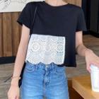 Lace Panel Short Sleeve Cropped Top