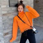 Distressed Turtle-neck Cropped Sweater