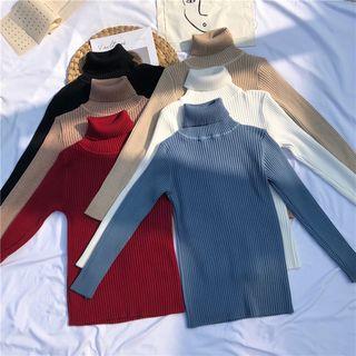 Long-sleeve Ribbed Turtleneck Knit Top