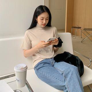 Short-sleeve Turtleneck Top