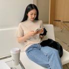 Short-sleeve Turtleneck Top