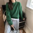 Plain Loose-fit Sweatshirt - 3 Colors