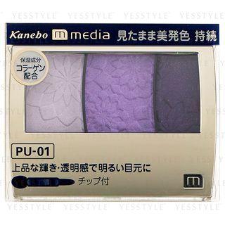 Kanebo - Media Grade Color Eyeshadow (#pu-01) 3.5g