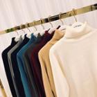 Turtle-neck Knit Top In 8 Colors