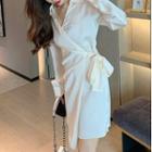 Long-sleeve Collared Sheath Dress / Shirt