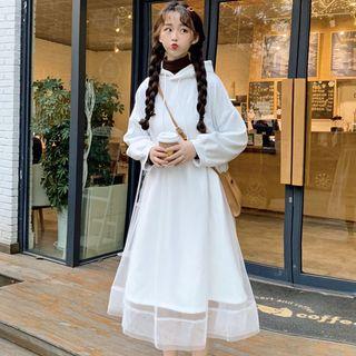 Hooded Long-sleeve Midi Mesh Dress