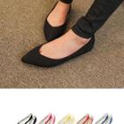Pointy-toe Colored Flats