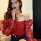 Long-sleeve Off-shoulder Mesh Crop Top