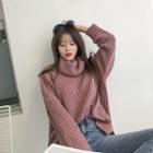 Turtleneck Loose-fit Pointelle Sweater