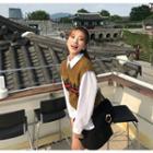 Pattern Embroidered Vest / High-waist Skirt / Plain Shirt