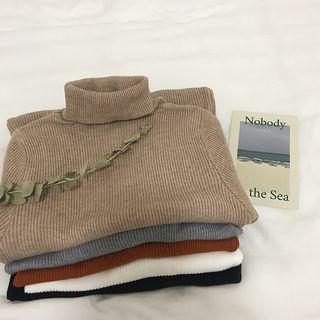 Long-sleeve Turtleneck-neck Knit Top