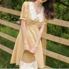 Short-sleeve Lace Collar Gingham Mini Dress