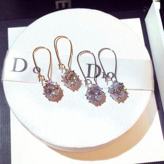 Caged Rhinestone Hook Earring