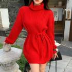 Turtleneck Tie Waist Sweater Dress